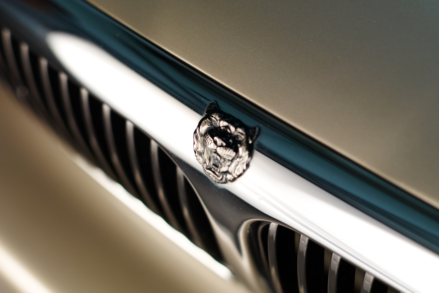jaguar car badge